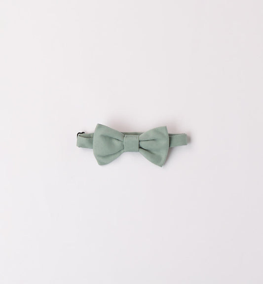 PAPILLON VERDE